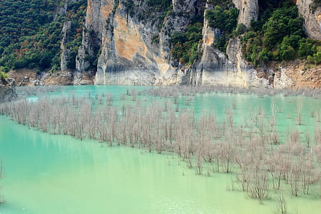 gray plants on body of water near mountain thumbnail