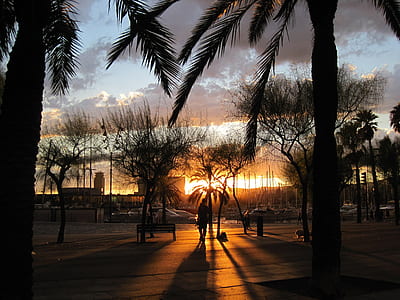 silhouette photo of person walking beside bench during golden hour thumbnail