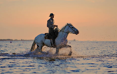 man riding on horse on body of water thumbnail