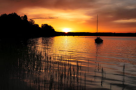silhouette of lake and forest during golden time thumbnail
