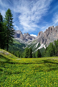 rock mountain near pine trees at blue sky thumbnail