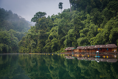 landscape photo of brown houses on body of water near green trees thumbnail