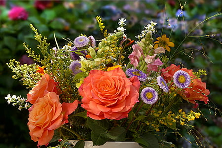 orange petaled flowers macro photography thumbnail