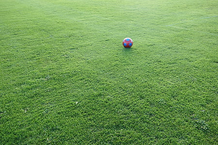 soccer ball on grass lawn thumbnail