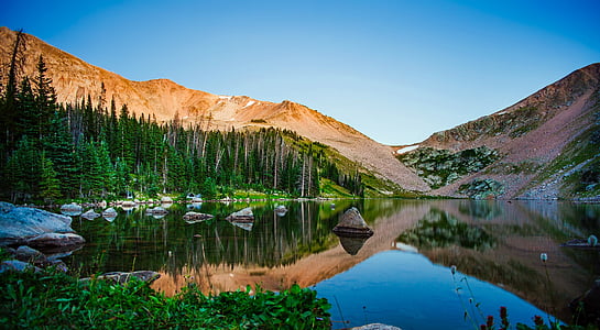 green forest near body of water and mountain thumbnail