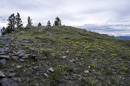 Landscape at the top of Mount Helena thumbnail