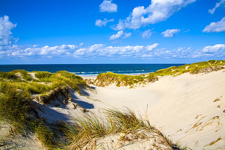 seashore and sea under blue sky thumbnail