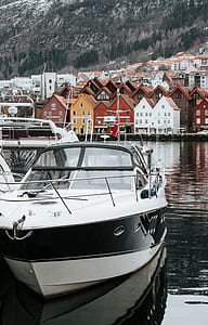white and black bow rider on harbor thumbnail