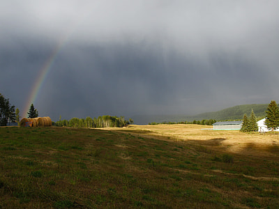 rainbows on sky below field thumbnail