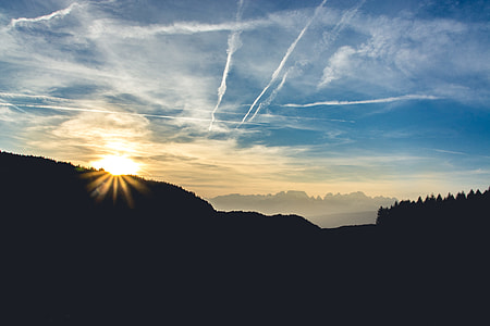 silhouette of trees during sunrise thumbnail