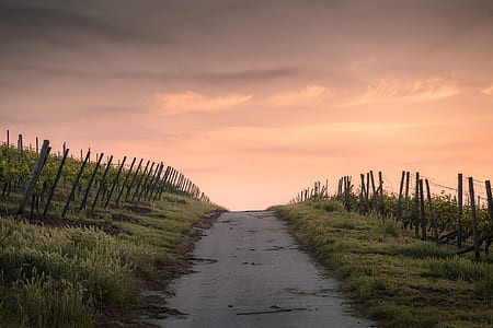 landscape photography of scenery road thumbnail