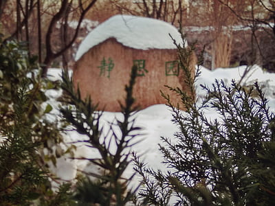 kanji text on stone thumbnail