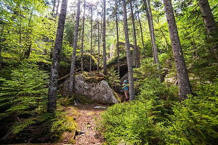 person standing beside gray rock in woods at daytime thumbnail