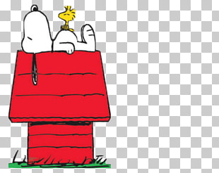 La Casa Di Snoopy Shop On Line Di Monterotondo Events Facebook