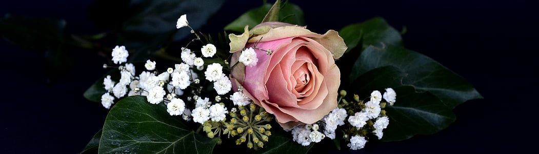 pink rose flower and baby's breath flowers thumbnail