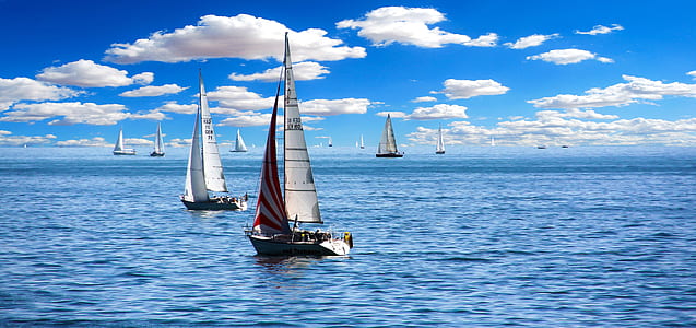 White Sailboat on Body of Water Under White Sky during Daytime thumbnail