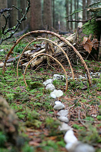 stone on green grass surrounded with trees at daytime thumbnail