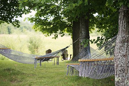 photography two grey hammocks during daytime thumbnail