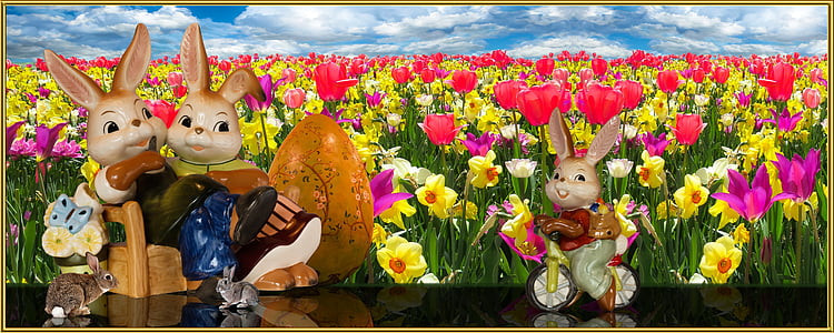 boy rabbit bicycling in front of sitting man and woman rabbits on bench with flower field background thumbnail