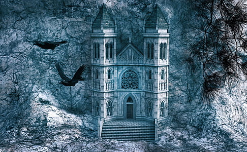 illustration of castle and black bird thumbnail