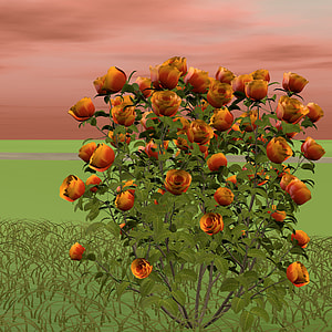 orange flower bush on green field under cloudy sky during daytime thumbnail