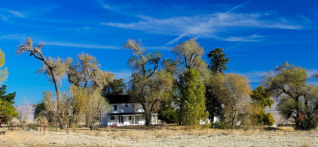 house surrounded by trees under clear sky during daytime thumbnail