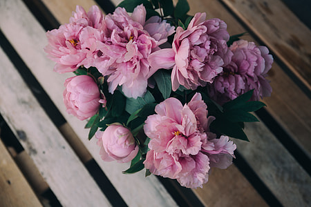 pink petaled flowers arrangement thumbnail