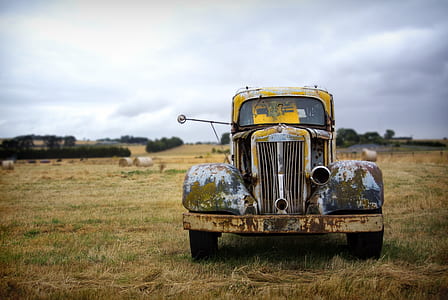 classic brown, gray, and black car on brown grass field thumbnail