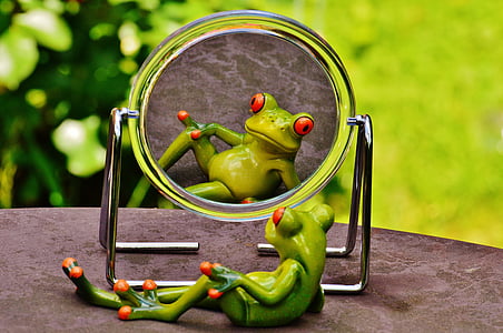 frog sitting in front of mirror thumbnail