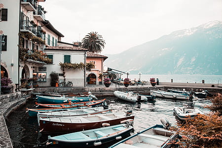 assorted-color motor boats beside houses thumbnail