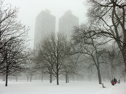 snow covered tree and building during day time thumbnail