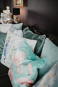 Modern living room with a comfy sofa thumbnail