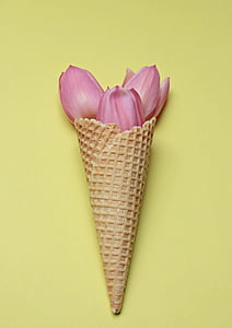 waffle cone tulips thumbnail