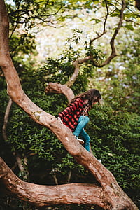girl going down on tree at daytime thumbnail