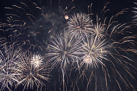 low angle photography of fireworks sparkling during nighttime thumbnail