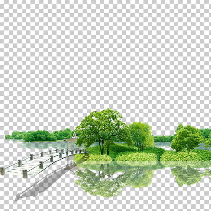 Green Nature Beauty Environment, Beautiful green environment, bridge beside trees PNG clipart