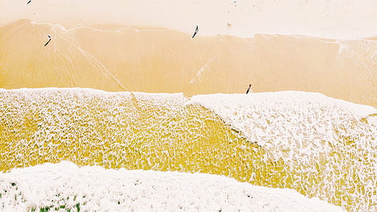 landscape photography of white flowers field thumbnail