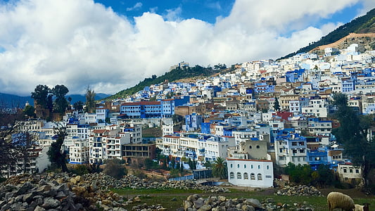 white-and-blue buildings ahead thumbnail
