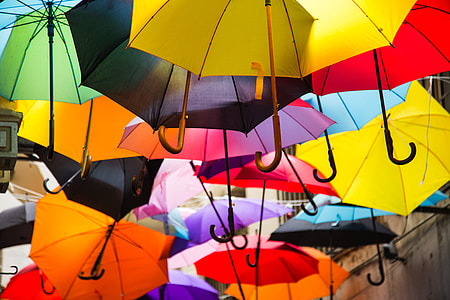 close up photography of umbrellas thumbnail