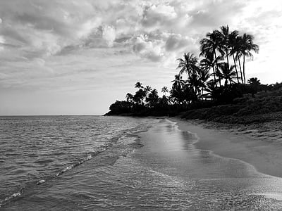 grayscale photo of seashore thumbnail