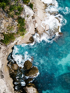 aerial photo of shore with trees thumbnail