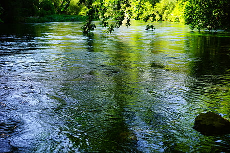 photo of body of water and trees thumbnail