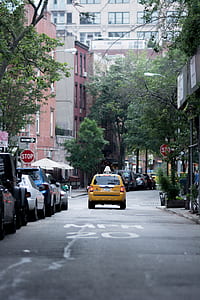 yellow taxicab crossing road at daytime thumbnail
