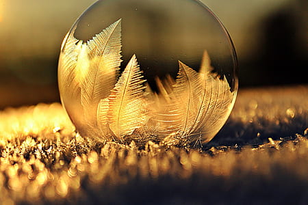 closeup photo of glass sphere thumbnail