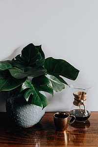 Chemex Coffee Maker with Gold Cup thumbnail
