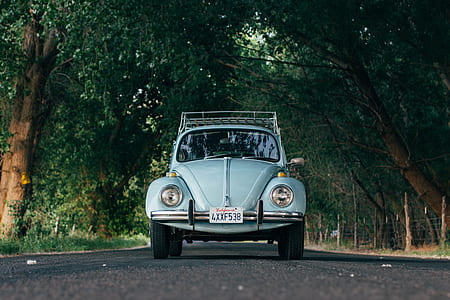 blue Volkswagen Beetle coupe on road near trees at daytime thumbnail