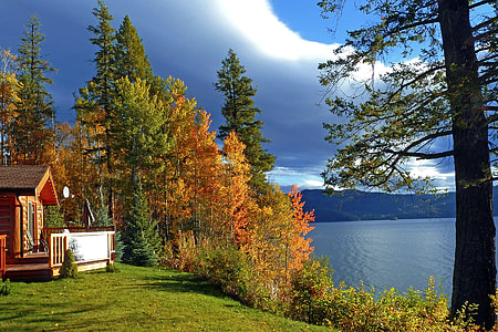 house beside trees and sea at daytime thumbnail