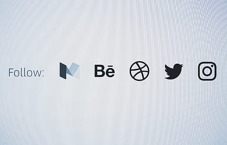 bird, follow, internet, connection thumbnail
