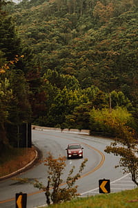 Red Car Travels on the Curved Road thumbnail