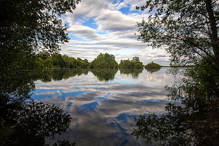 green tree near body of water thumbnail